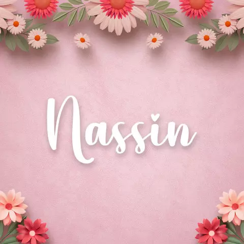 Name DP: nassin