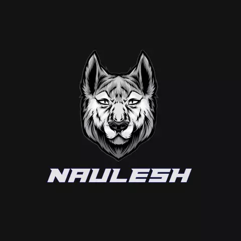 Name DP: naulesh