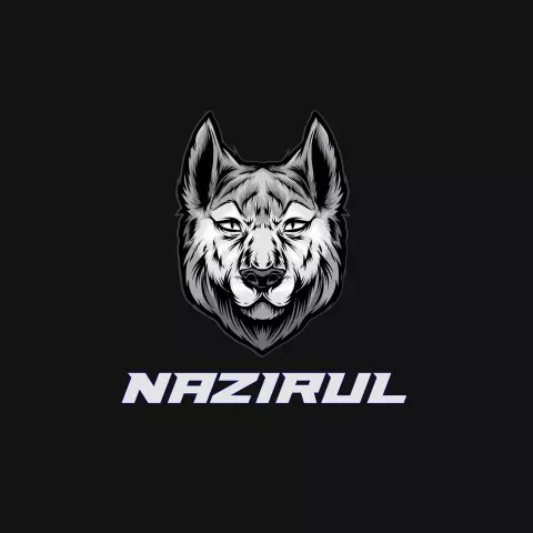 Name DP: nazirul