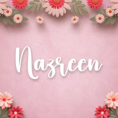 Name DP: nazreen