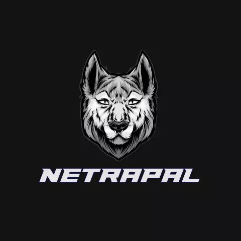 Name DP: netrapal