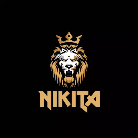 Name DP: nikita