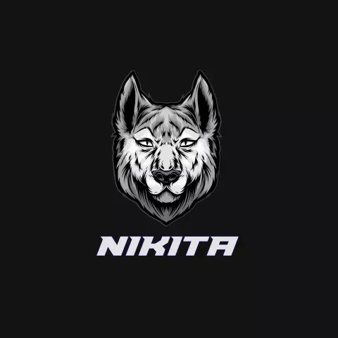 Name DP: nikita