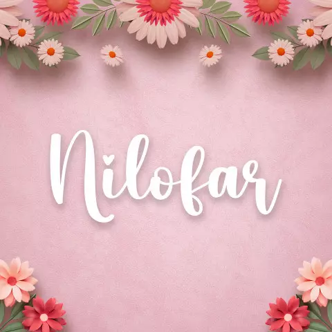 Name DP: nilofar