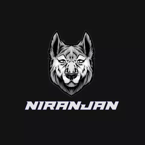 Name DP: niranjan