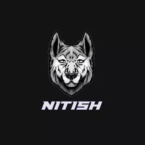 Name DP: nitish