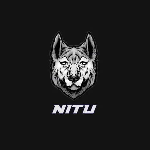 Name DP: nitu