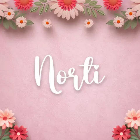 Name DP: norti