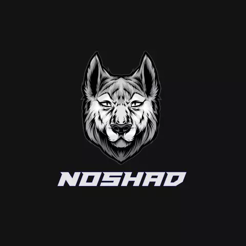 Name DP: noshad