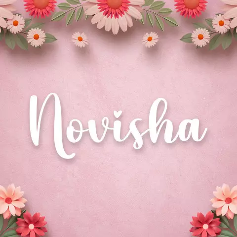 Name DP: novisha