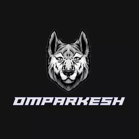 Name DP: omparkesh