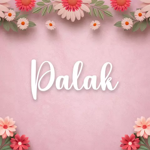 Name DP: palak