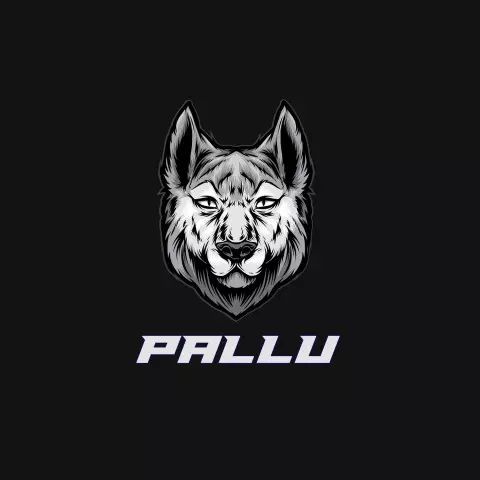Name DP: pallu