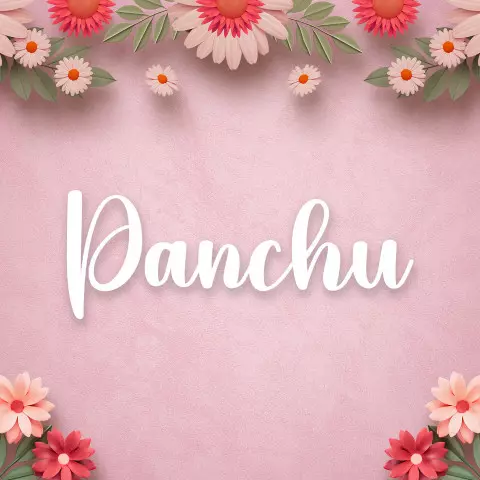 Name DP: panchu