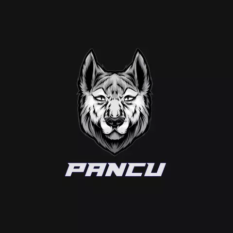 Name DP: pancu