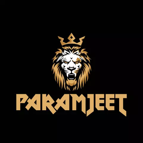 Name DP: paramjeet
