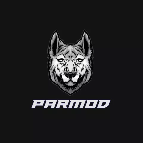 Name DP: parmod