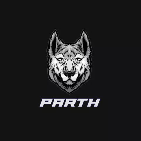LOGO FOR DJ PARTH JUST FOR 200 RS. FOR... - Nobita creations | Facebook