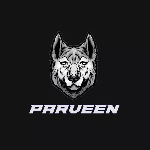 Name DP: parveen
