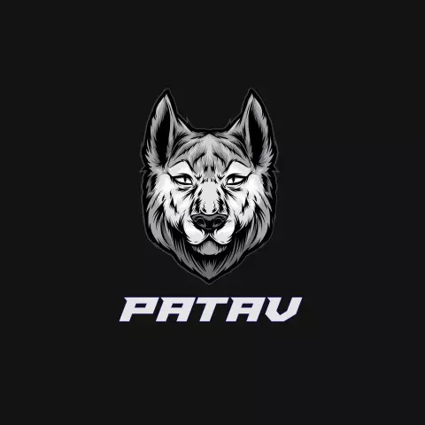Name DP: patav