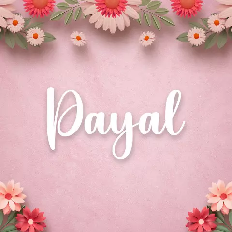 Name DP: payal