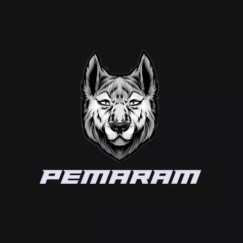 Name DP: pemaram