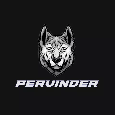 Name DP: pervinder