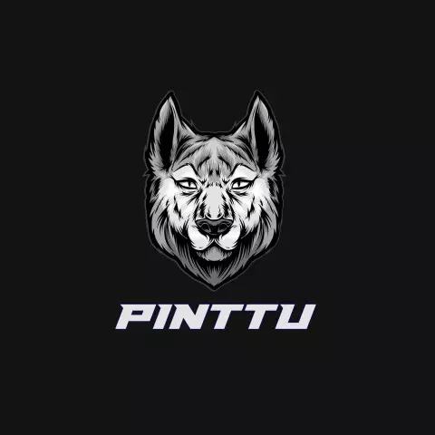 Name DP: pinttu