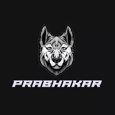 Name DP: prabhakar