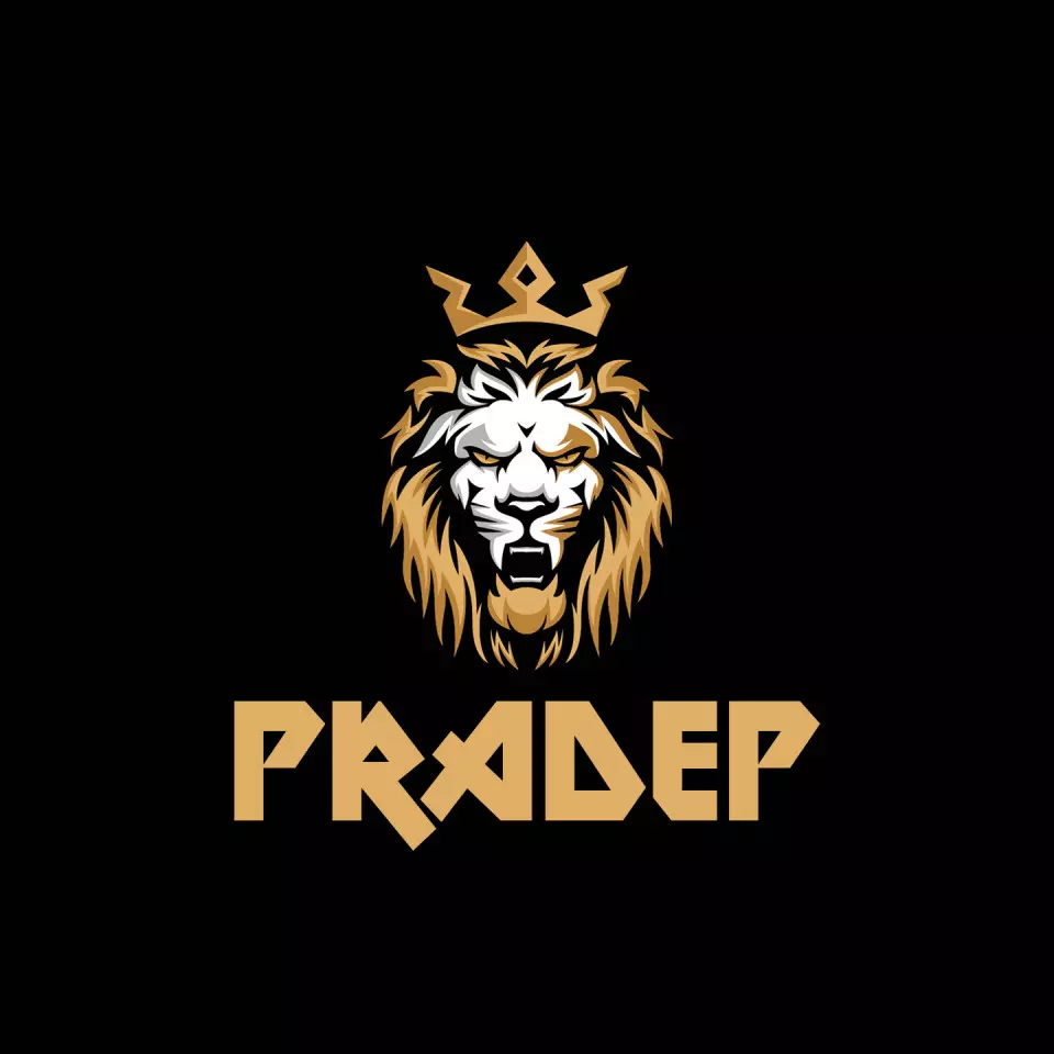 Name DP: pradep