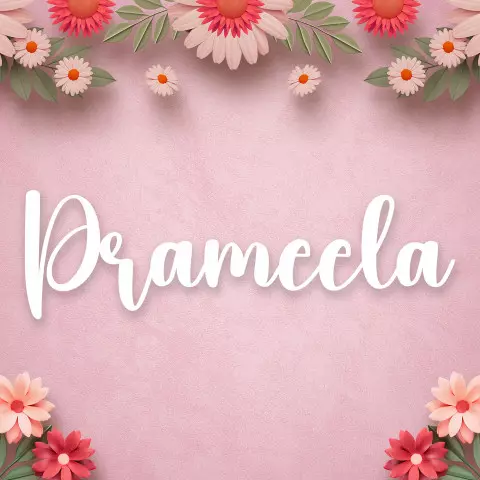 Name DP: prameela