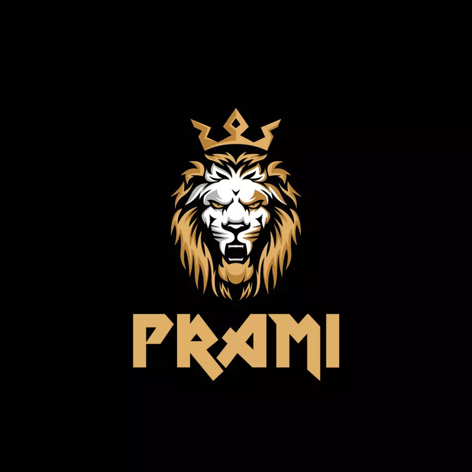 Name DP: prami