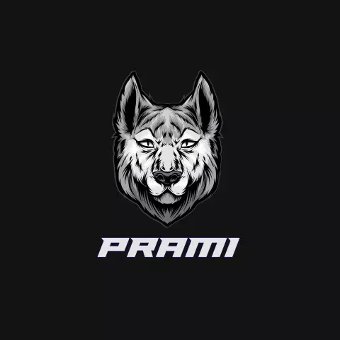 Name DP: prami