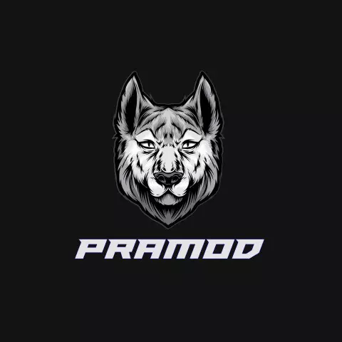 Name DP: pramod