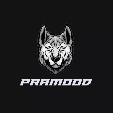 Name DP: pramood