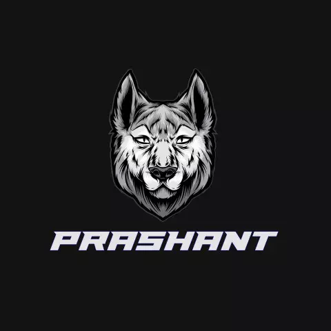 Name DP: prashant