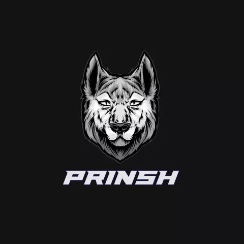 Name DP: prinsh