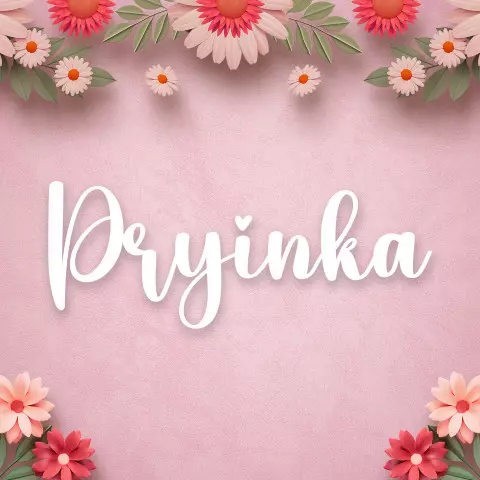 Name DP: pryinka