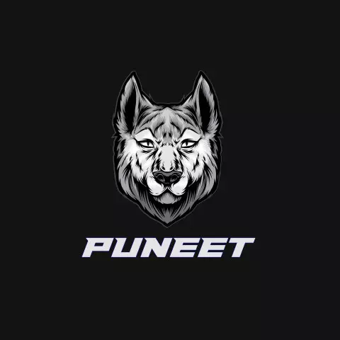 Name DP: puneet