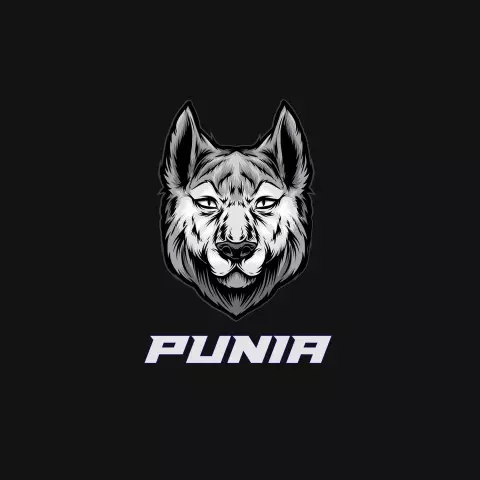 Name DP: punia