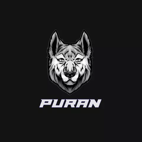 Name DP: puran