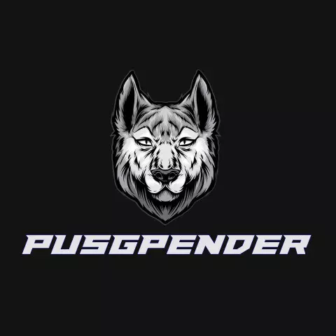 Name DP: pusgpender