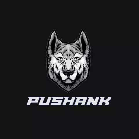 Name DP: pushank