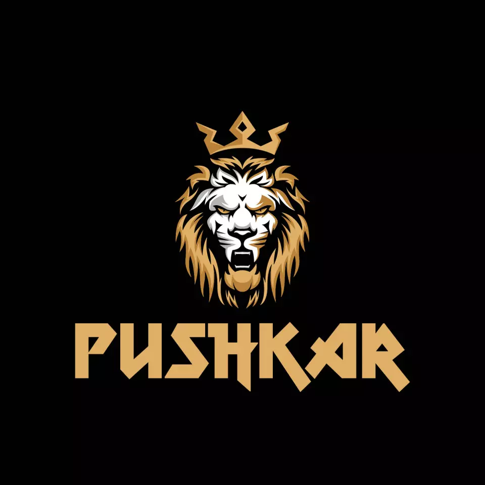 Name DP: pushkar