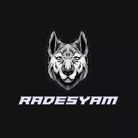 Name DP: radesyam