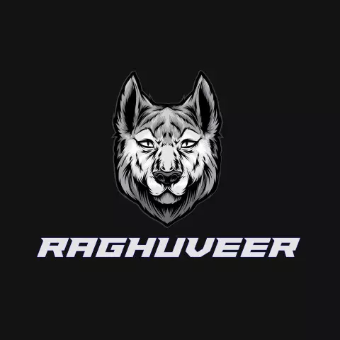 Name DP: raghuveer