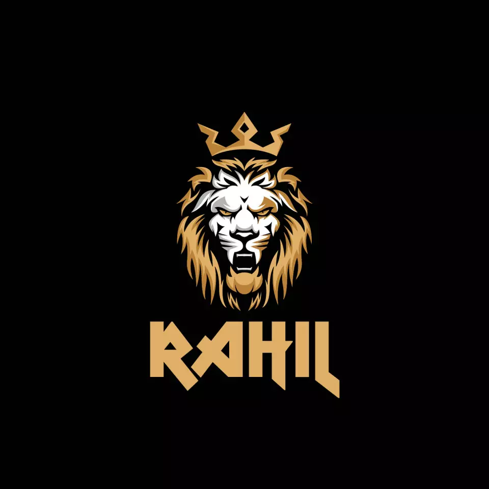 Name DP: rahil