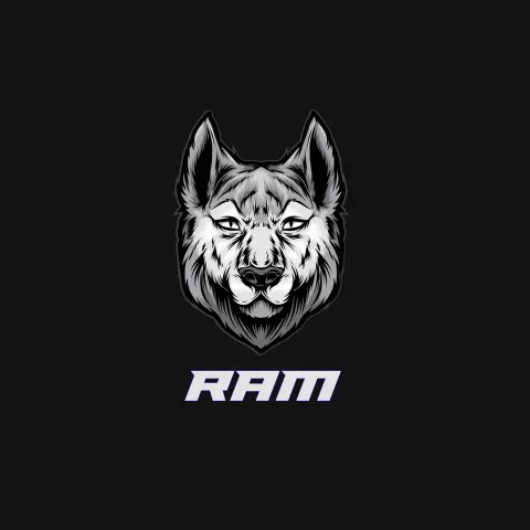 Name DP: ram