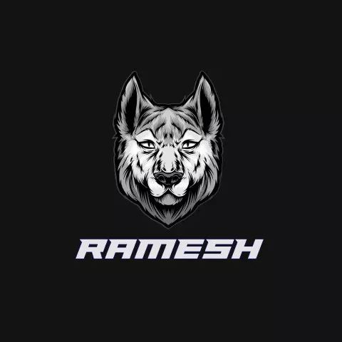 Name DP: ramesh