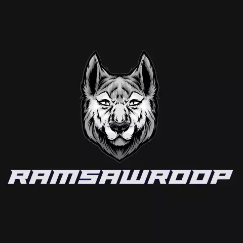 Name DP: ramsawroop